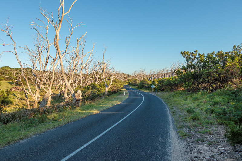 Cape Otway - Easter 2021 - Time to head back along the lonely road, before the lighthouse opens and its full of tour buses.