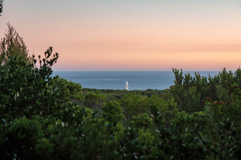 Cape Otway - Easter 2021 - Oh look, the lighthouse. This spot on the Great Ocean Walk is named 'Lighthouse lookout'. I used my zoom.