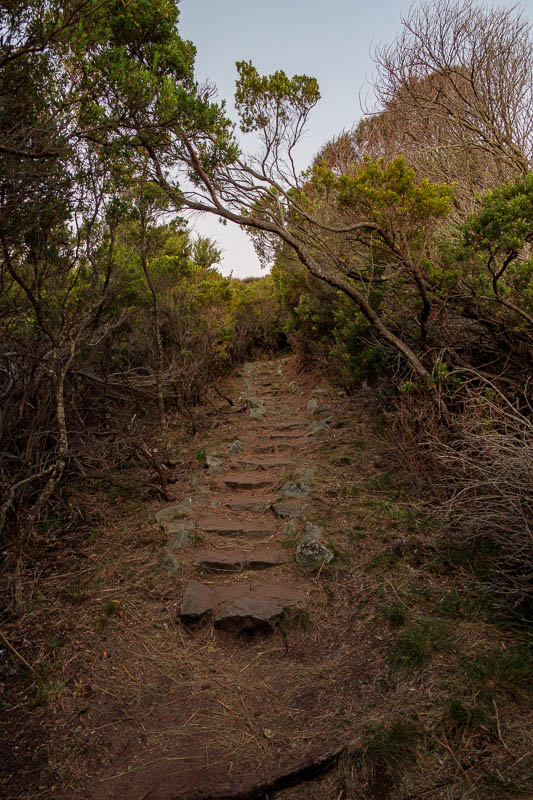 Cape Otway - Easter 2021 - The path is very well maintained. There are professional walking tour companies taking people along here every day. Day being the important word in th