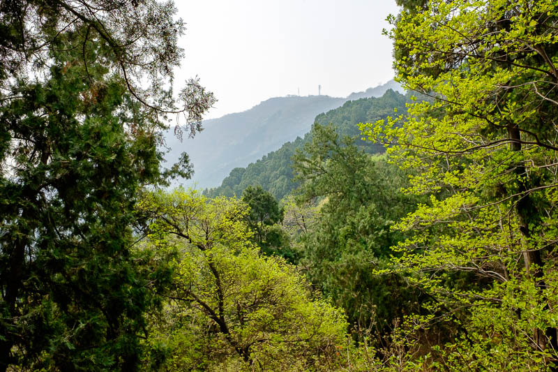 The great loop of China - April 2018 - A view across to another peak. I walked all along the top to this peak in the distance. The park has a mini great wall all the way around it with razo