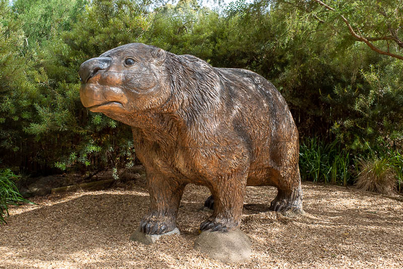  - Wombat as big as a bus. They really used to be as big as a bus. I saw no real wombats today, just this giant statue.