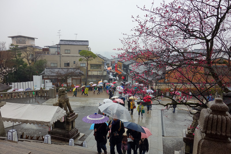 Japan-Kyoto-Rain-Temple-Kinkajuji - Note these are red cherry blossoms. Everyone hyperventilate with excitement now.