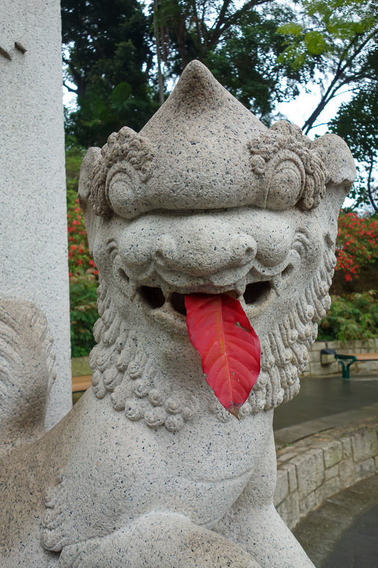 Hong Kong - Japan - Taiwan - March 2014 - Dragon tongue.