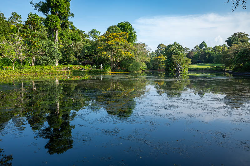 Singapore-Gardens by the bay - There are a lot of lakes to walk around, it was hot in the sun. A lot of people were jogging, I was mildly surprised you are allowed to jog in the gar