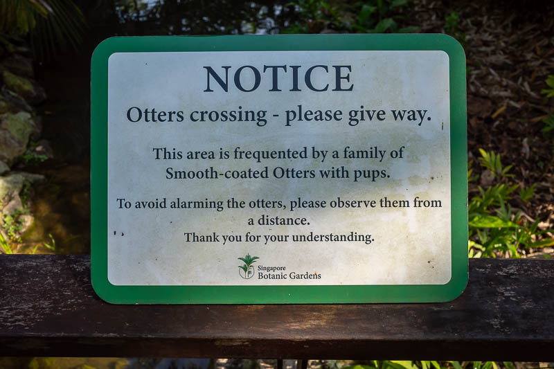 Singapore-Gardens by the bay - The main disappointment of the day, I did not see any smooth-coated otters with pups.