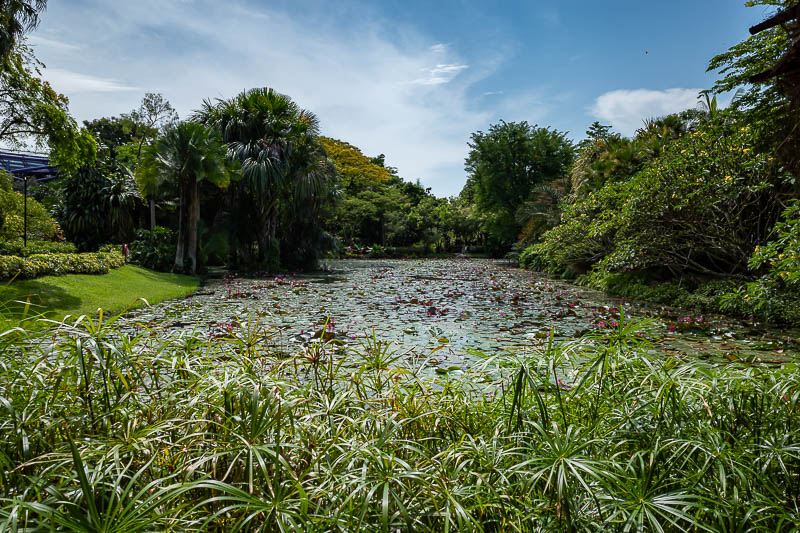 Singapore-Gardens by the bay - And more, tricky light.