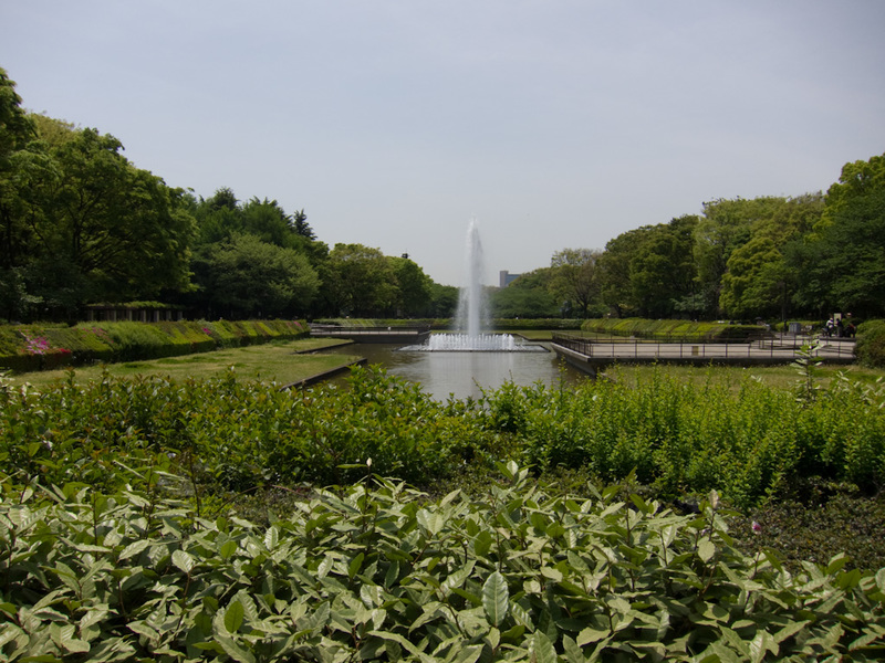 Japan-Tokyo-Ueno-Zoo-Museum - The pond in Ueno park. This was pretty dissapointing as well, lots of it was full of weeds. The Adelaide botanic gardens is far nicer. There are howev