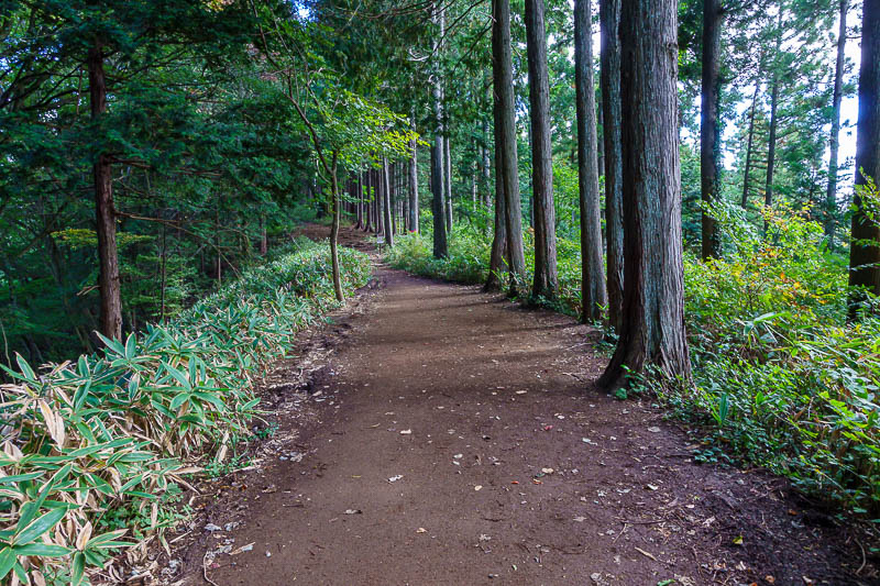 Japan for the 10th time (Finally!) - October and November 2023 - Hiking trails do not get much smoother than this.