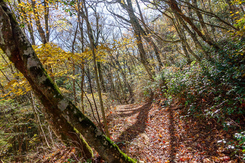 Japan-Matsuyama-Hiking-Mount Takanawa - Highest around
