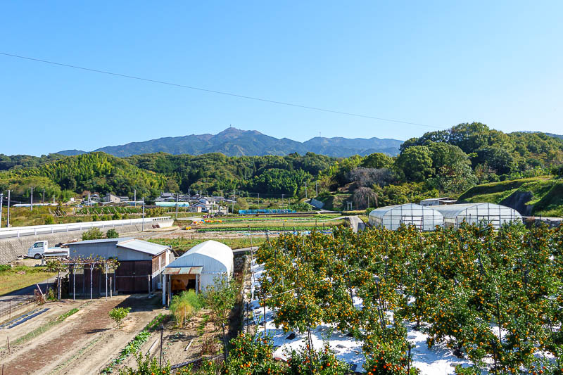 Japan for the 10th time (Finally!) - October and November 2023 - Looking back from where I had come down from, it looks a lot further than it is in this pic. The walk through the farming areas was very nice. Great w