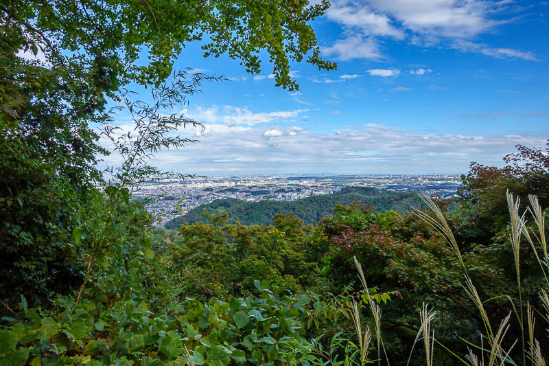 Japan for the 10th time (Finally!) - October and November 2023 - I continued past the cable car station and found this view, and a sign saying alternate path to Takao station. Which is exactly what I was looking for