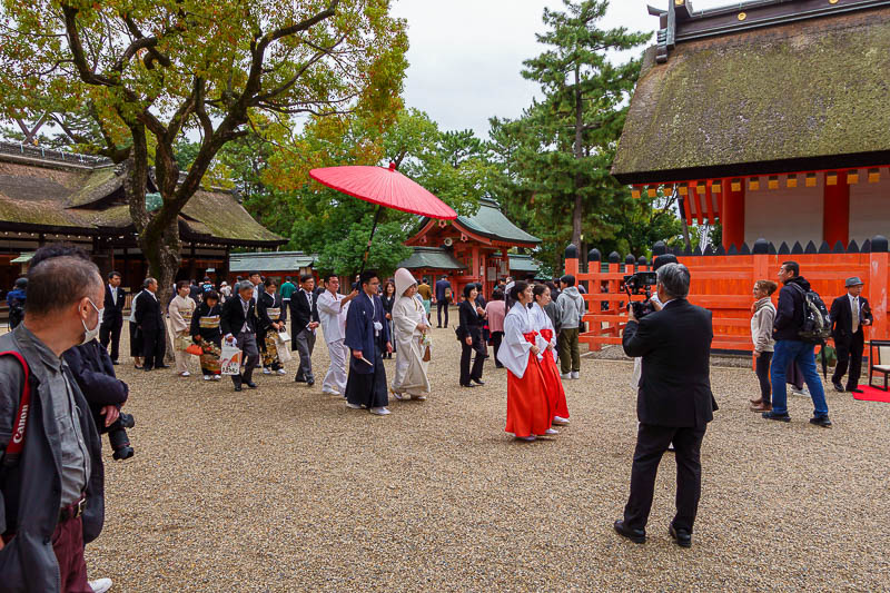 Japan for the 10th time (Finally!) - October and November 2023 - Instead I crashed a wedding.
