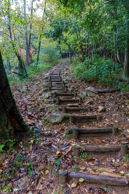 Japan for the 10th time (Finally!) - October and November 2023 - The path up the left side was damp, but fine. Going up never seems slippery.