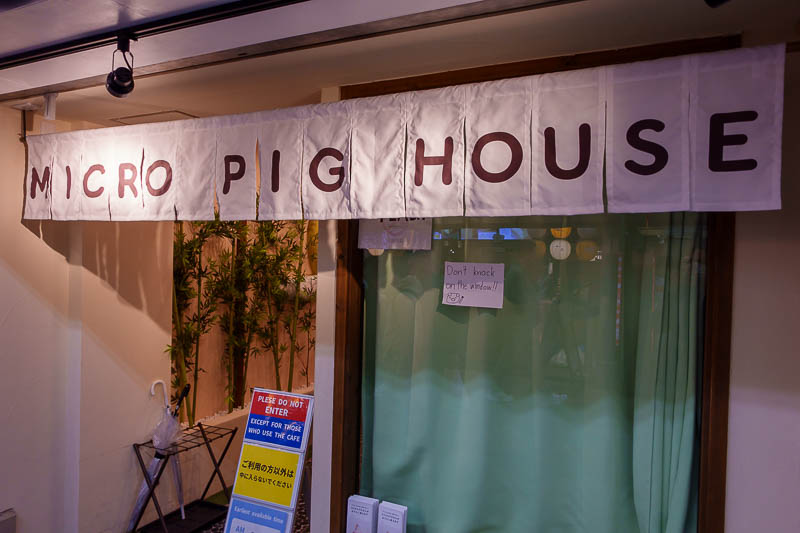 Japan for the 10th time (Finally!) - October and November 2023 - Although from the entrance I did spot this place. And there is no other way to end the photos for tonight than with the micro pig house.