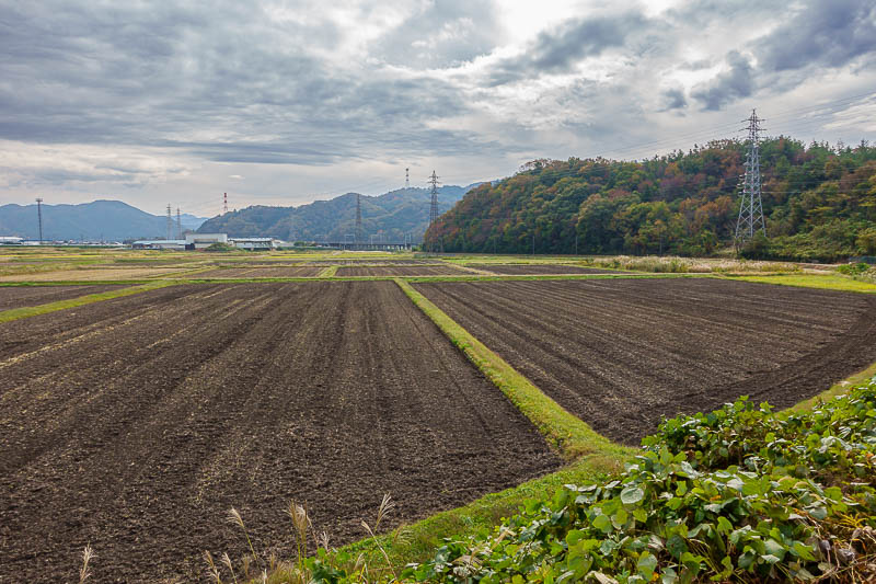 Japan for the 10th time (Finally!) - October and November 2023 - A nice view across the farmers fields on my lonely walk back to the station. I remembered this bit, it is an old train line that used to go to the clo