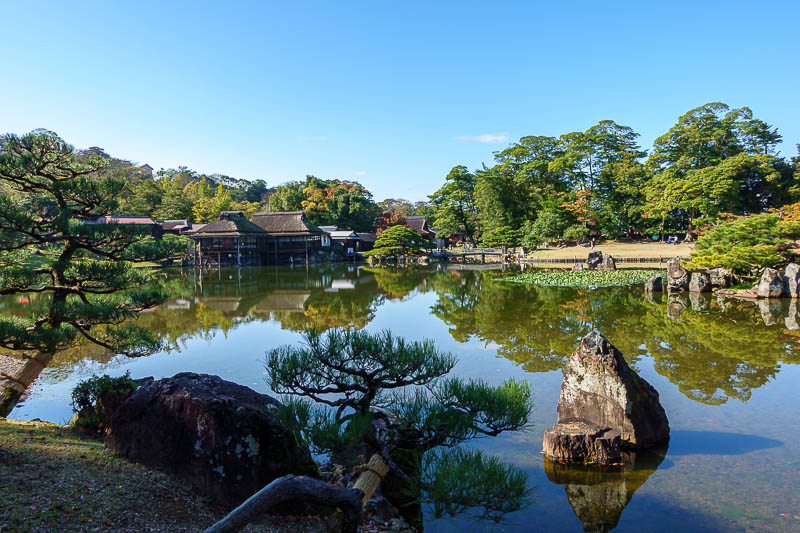 Japan for the 10th time (Finally!) - October and November 2023 - And so there you go, when the hike cannot be done, the next town over has a castle and garden as a backup plan.