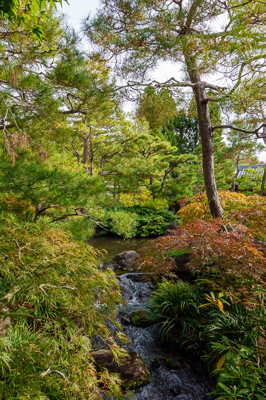 Japan for the 10th time (Finally!) - October and November 2023 - Last garden pic!