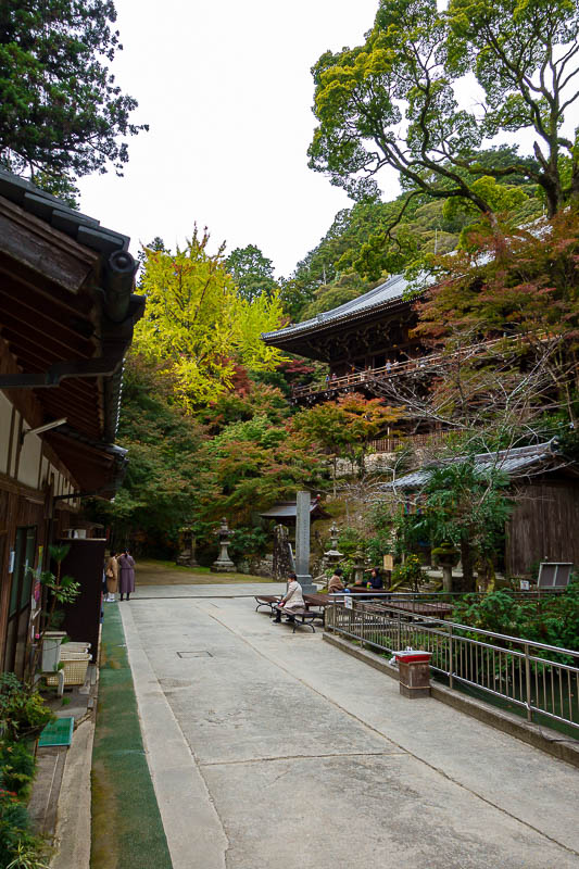 Japan for the 10th time (Finally!) - October and November 2023 - About 30 minutes walk along the top of the small hill from the cable car station and you get to Engyoji shrine, which is actually a big complex of shr