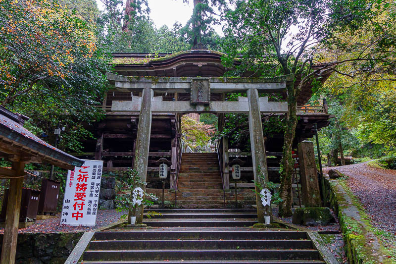 Japan for the 10th time (Finally!) - October and November 2023 - Time to go up to the shrine.