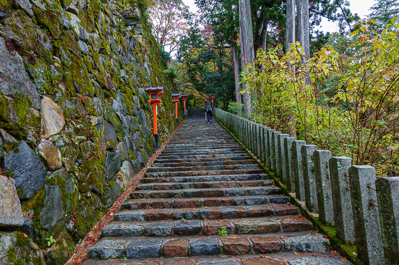 Japan for the 10th time (Finally!) - October and November 2023 - Today was all staircases.
