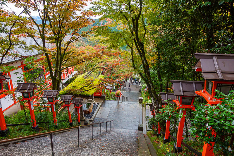Japan for the 10th time (Finally!) - October and November 2023 - I got great shots of this spot last time I was here. No sun today (yet), if I had of been an hour later there would have been great sun and wet reflec