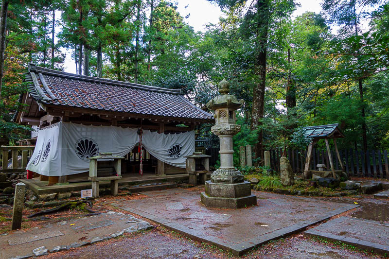 Japan for the 10th time (Finally!) - October and November 2023 - A shrine deep in the forest.