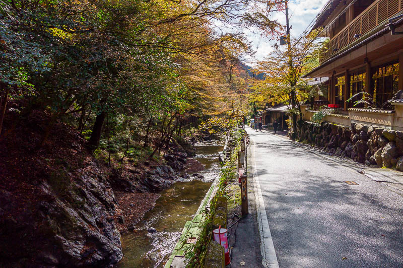 Japan for the 10th time (Finally!) - October and November 2023 - The creek along side the road is very nice, lots of mini waterfalls.