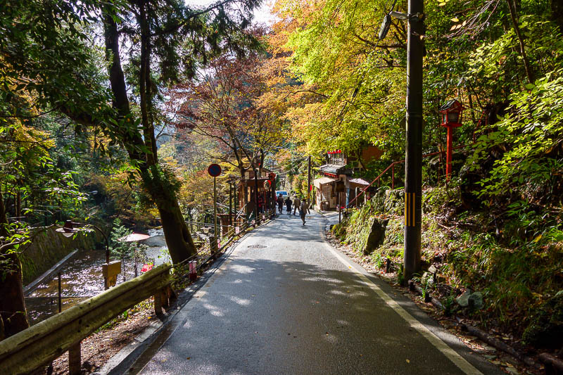 Japan for the 10th time (Finally!) - October and November 2023 - The walk back down to the station was into the sun, so good light all the way for photos.