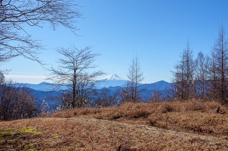Japan-Tokyo-Hiking-Mount Takanosu - But don't panic, there is Fuji. There will be a lot more Fuji below.