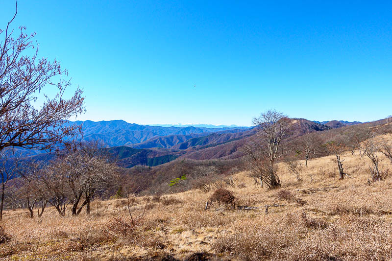 Japan-Tokyo-Hiking-Mount Takanosu - Another random shot of those other snowy mountains.
