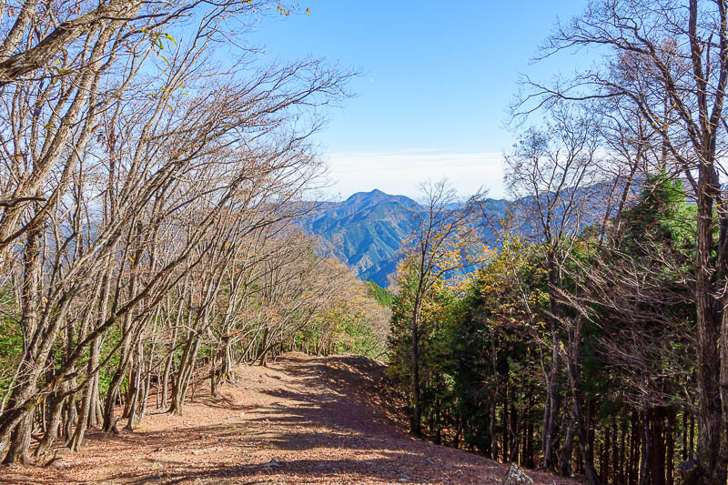 Japan-Tokyo-Hiking-Mount Takanosu - Whatever that mountain is across the valley, I have climbed it, because I have climbed all the mountains on that side.