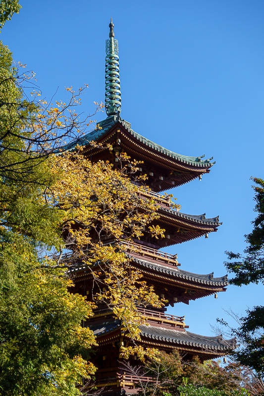 Japan-Tokyo-Ueno-Asakusa-Skytree - Another one of these. I will see a different one a few pics down.