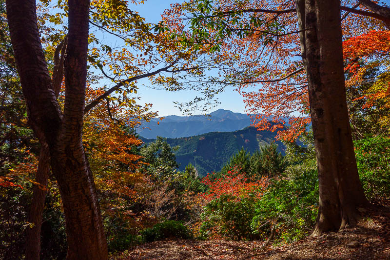 Japan-Tokyo-Hiking-Mount Takamizu - Nice and easy