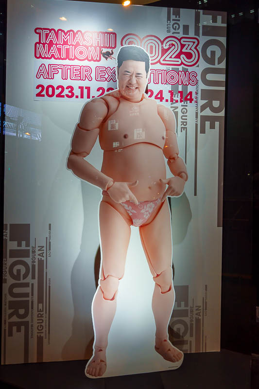 Japan-Tokyo-Akihabara - I do not know what is going on here exactly, but I can relate.
