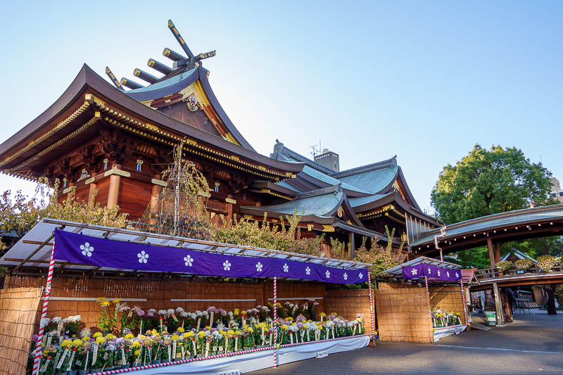 Japan-Tokyo-Ueno-Shinjuku - Here is the shrine in the early morning light. They are doing the flower judging routine, more on that later too. Note the little bridge going to the 