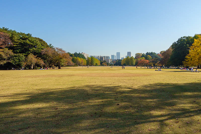 Japan-Tokyo-Ueno-Shinjuku - The garden is a sea of camera colour science challenging yellow lawn.