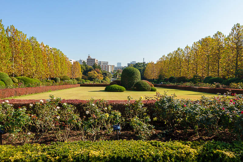 Japan-Tokyo-Ueno-Shinjuku - Formal garden area. After I took my photo I went and stood in the middle to ruin everyone's photos.