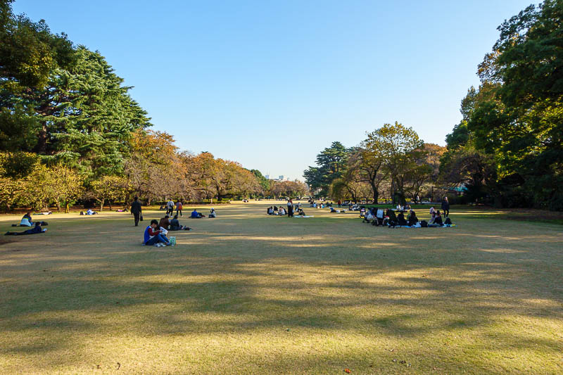 Japan-Tokyo-Ueno-Shinjuku - OK, last garden pic. I sat and had a picnic on my own.