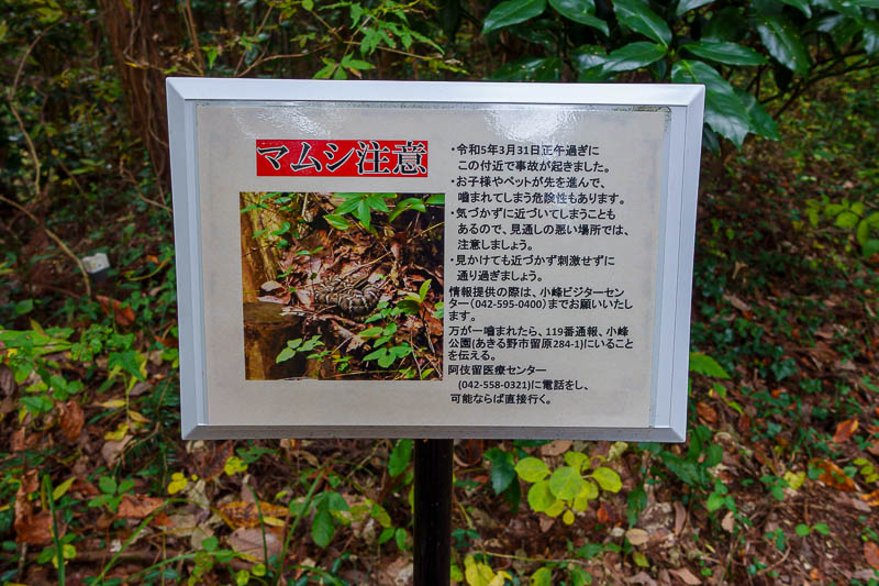 Japan-Tokyo-Hiking-Mount Kariyose - No bear warnings today, snakes! What kind of bell do I need for snakes?