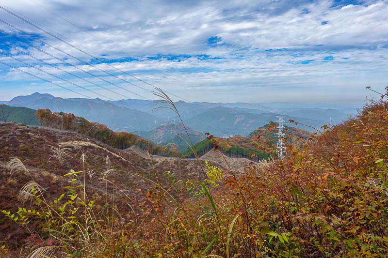 Japan-Tokyo-Hiking-Mount Kariyose - I climbed up a ridge to peer over into the logging areas.