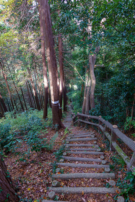 Japan-Tokyo-Hiking-Mount Kariyose - Which just left a different very long stair case to go back down to Komine park, which I re-entered from a different entrance.