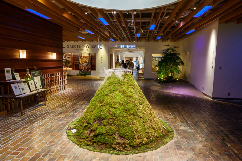 Japan-Yokohama-Curry - The first thing to do was to go find some dinner. The local Sogo department store was a good bet, more so when I discovered it had a grass volcano in 