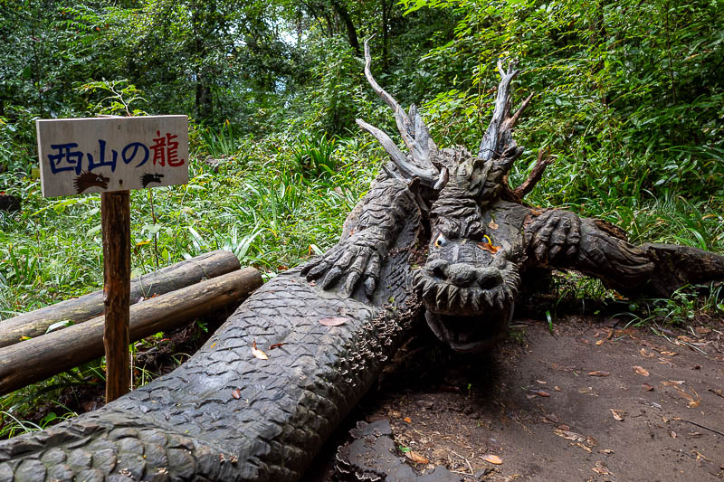 Japan-Tokyo-Takao-Hiking - Someone is carving all kinds of things in the forest, environmental terrorism.