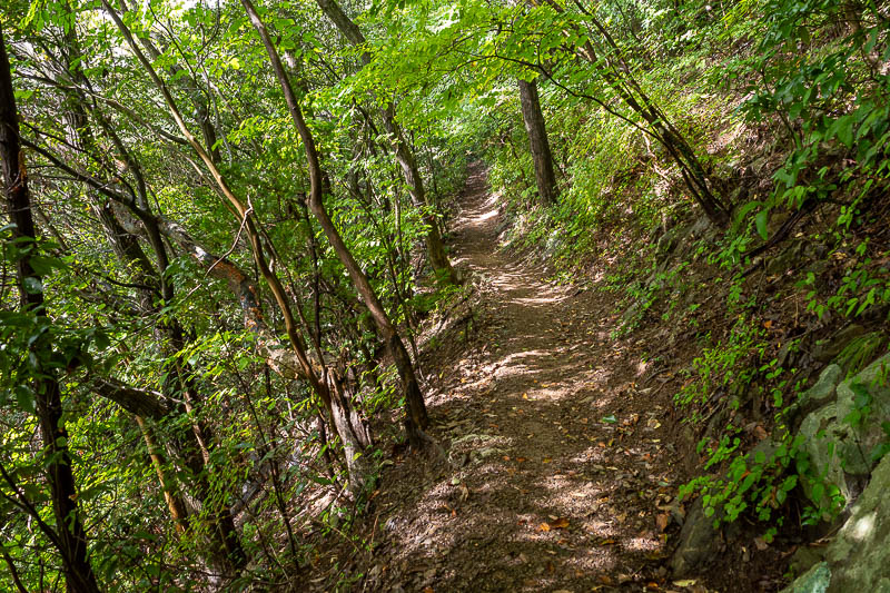 Japan-Tokyo-Takao-Hiking - I was enjoying this nice sunny path.