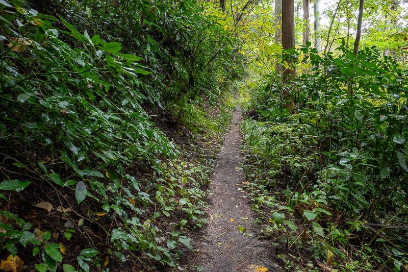 Japan-Tokyo-Takao-Hiking - The path after the bridge up to the main Takao trail was flat and smooth.