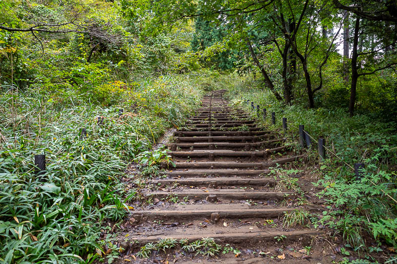 Japan-Tokyo-Takao-Hiking - Before too much longer I was back on the main Takao trail, with its many steps and seating areas. There were really not many people around, and the ou