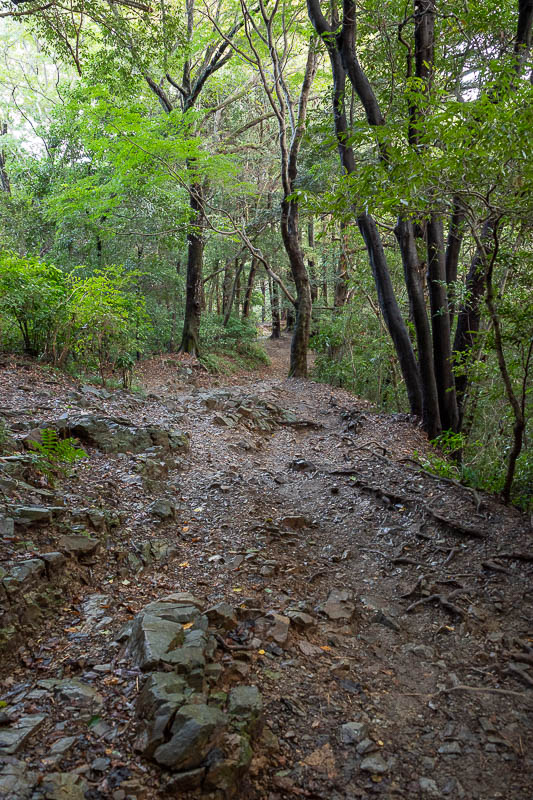 Japan-Tokyo-Takao-Hiking - Of course I was not going to take the cable car down, I found a slippery and rocky path instead.