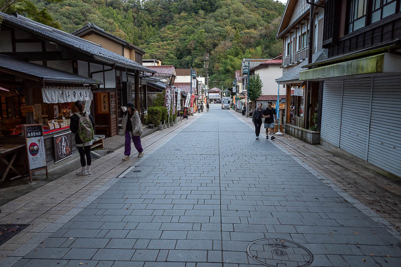 Japan-Tokyo-Takao-Hiking - The last bit is this nice street at the bottom. I took a great photo from here at dawn many years ago.