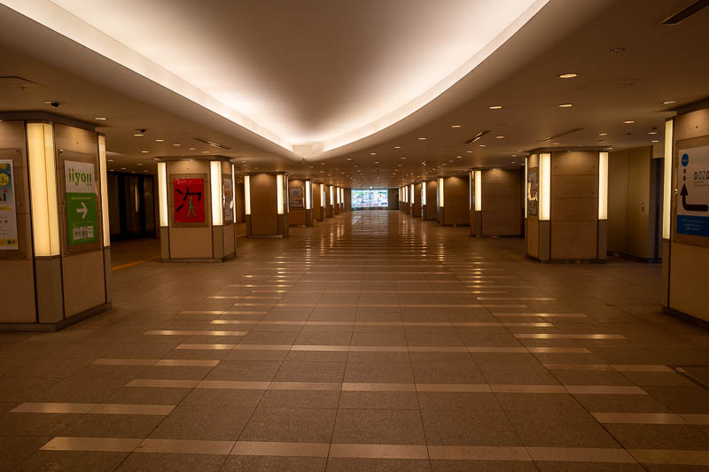 Japan-Tokyo-Hiking-Mount Raiden - I changed trains at Tokyo station, and enjoyed some liminal space all to myself. OK, apparently liminal also is not a word, despite liminal space bein