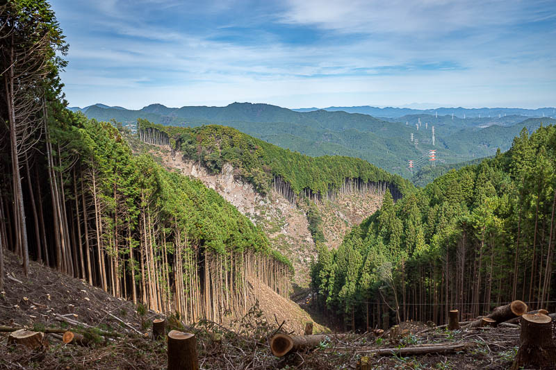 Japan-Tokyo-Hiking-Mitake-Otsuka - Logging often provides the only view, today it was not the only view, but just one of the views.